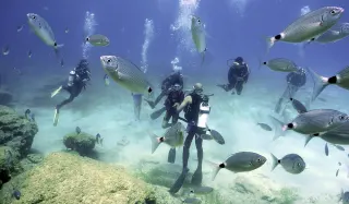 Marmaris Scuba Diving - 1